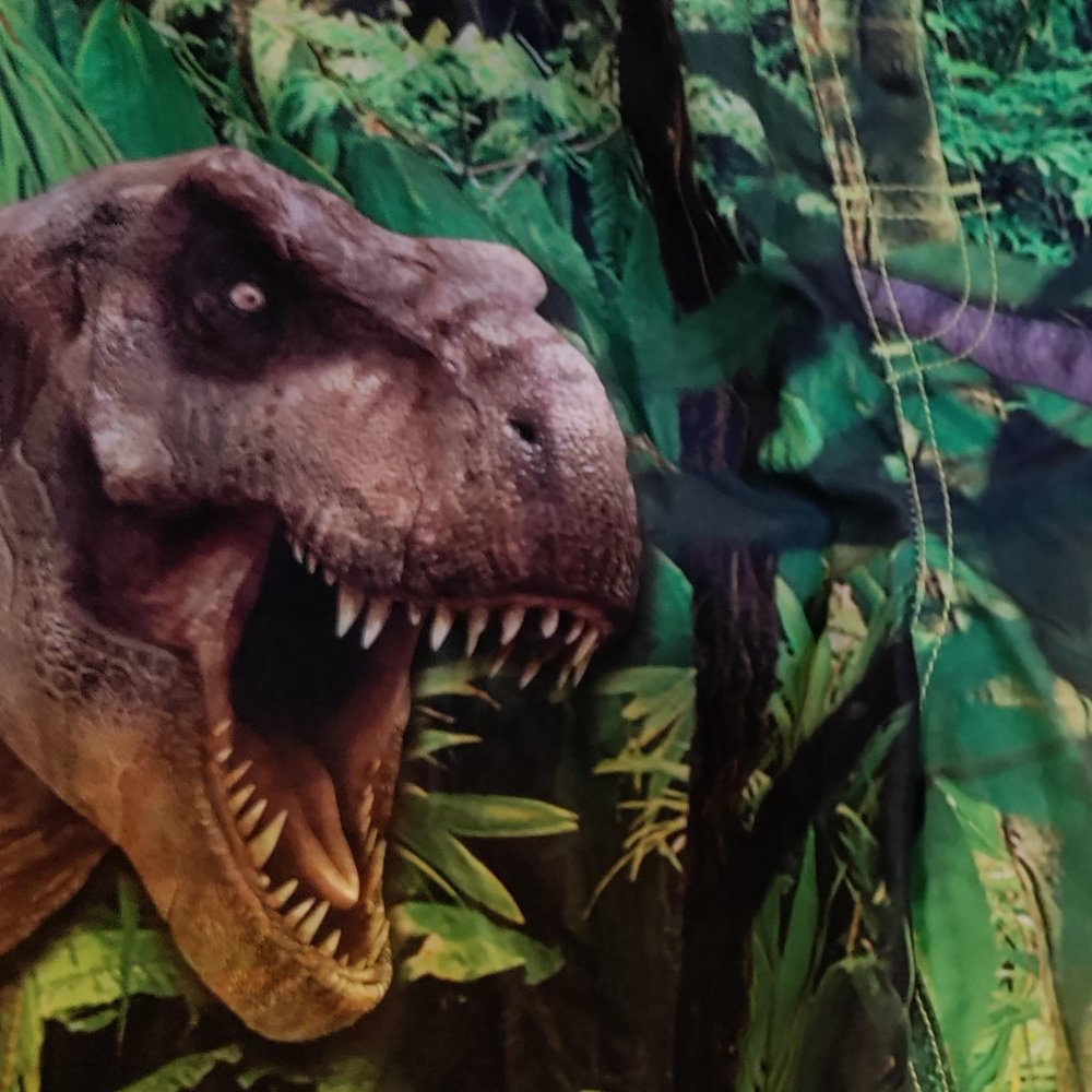 Jurassic World - Swim Trunks
